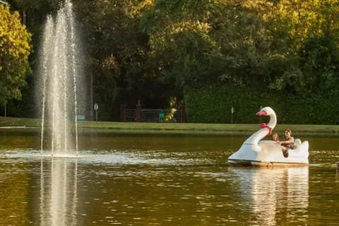 Pedalinho em forma de cisne no lago do Lagos de Jurema, com fonte ao lado